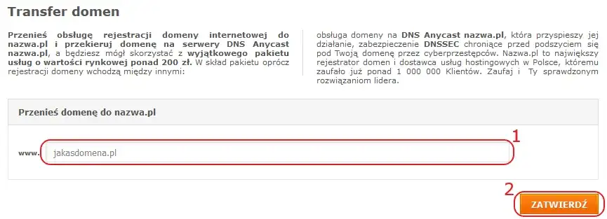 panel klienta rejestratora domen
